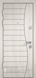 Фото «Антивандальная дверь №8»  в Лосино-Петровскому